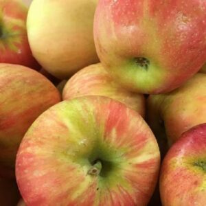 Top of Texas Honeycrisp apples